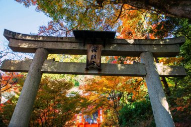 Japonya 'nın Kyoto şehrinde sonbahar bahçeli Bishamondo tapınağının Torii kapısı. Aralık ayında Kansai 'de turistler için ünlü bir tatil beldesi..