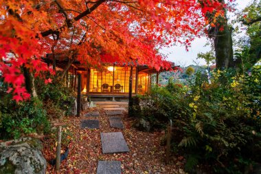 Japonya 'nın Kyoto kentindeki Uji şehrinde sonbaharda Japon kafe veya restoranına giden kırmızı akçaağaç tüneli olan patika. Aralık ayında Kansai 'de turistler için yeşil çay yemek ve içmek için tatil hayatı.
