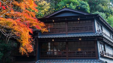Geleneksel ryokan kırmızı akçaağaç yapraklarıyla sonbaharda, Osaka, Japonya 'daki Minoh Watefall parkında. Sonbahar mevsiminde Kansai 'yi gezmek için ünlü bir tatil beldesi..