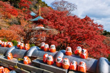 Sonbahar kırmızı akçaağaç yaprağı ve çatıda bulanık daruma figürlü Katsuo-ji tapınağı tapınağı tapınağı. Sonbaharda Kansai 'yi görmek için ünlü bir seyahat yeri. Zafer tapınağı
