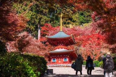 Japonlar aralık ayında renkli sonbahar akçaağaç yaprağı ile Katsuo-ji pagoda 'ya yürür, Minoh, Osaka, Japonya. Sonbaharda Kansai 'yi görmek için ünlü bir seyahat yeri. Zafer tapınağı