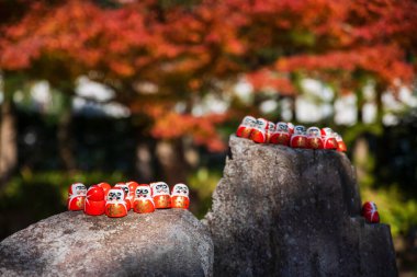 Japonya 'daki Minoh, Osaka' daki Katsuo-ji Tapınağı 'nın sonbahar bahçesinde akçaağaç yaprağı renklerinde Daruma bebekleri dekoru. Sonbahar sezonunda Kansai 'yi gezmek için ünlü bir gezi yeri. Zafer tapınağı.