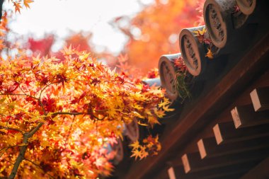 Aralık ayında Eikan-do tapınağının çatısından portakal yaprağı, Kyoto, Japonya. Kansai 'yi sonbahar sezonunda turist gezisi için ünlü bir tatil beldesi..