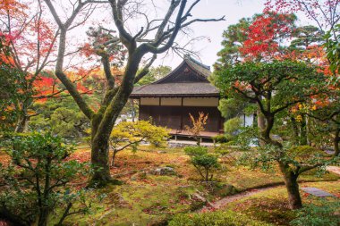 Japonya, Kyoto 'daki Ginkakuji Tapınağı' ndaki sonbahar yaprağı bahçesinin yanındaki ahşap bina. Kansai 'yi sonbaharda gezmek için turistik bir yer..