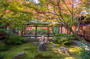 Kyoto, Japonya 'daki Kennin-ji Tapınağı' nın sonbahar bahçesinde renkli akçaağaç yaprağı. Özellikle sonbahar mevsiminde Kansai 'de ünlü bir tatil beldesi..
