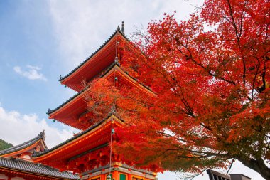 Kiyomizu-dera Tapınağı 'nın kırmızı akçaağaç yaprağı tarafından sonbaharda Kyoto, Japonya' da mavi gökyüzüne karşı yapılan turuncu ikonik pagoda. Sonbahar mevsiminde Kansai 'yi gezmek için ünlü bir gezi yeri..