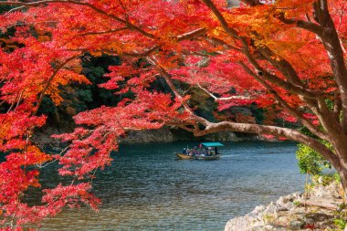 tourist people in punting wood boat along river view red autumn maple leaf at Arashiyama, Kyoto, Japan. Famous travel destination in Kansai especially on Fall and spring season.