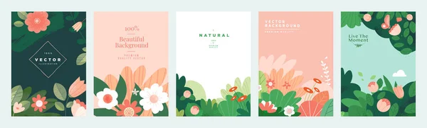 Set Natürlicher Und Floraler Vektorillustrationen Für Schönheit Und Mode Grußkarte — Stockvektor