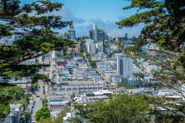 SAN FRANCISCO, CALIFORNIA, ABD... 9 AĞUSTOS 2023: güneşli bir günde San Francisco Kulesi 'nin manzarası
