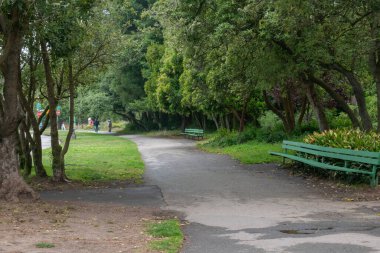 SAN FRANCISCO, CALIFORNIA, USA- 11 AĞUSTOS 2023: San Francisco, Kaliforniya, ABD 'deki Golden Gate Park yollarından birine bak