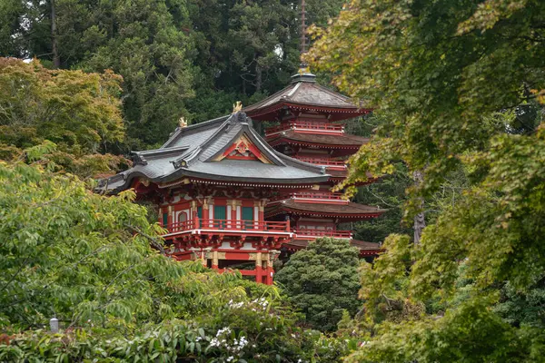 SAN FRANCISCO, CALIFORNIA, USA- 11 AĞUSTOS 2023: Japon Pagoda ve Hagiwara Çay Bahçesindeki ağaçlar San Francisco, Kaliforniya, ABD 'deki Golden Gate parkında