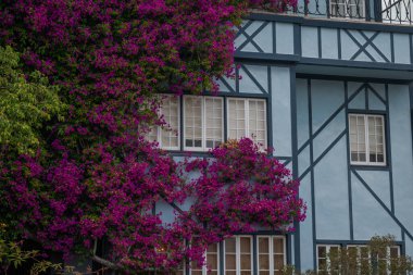 Lombard Caddesi 'ndeki mavi bir evin ayrıntıları. San Francisco' nun tarihi bölgelerinde.