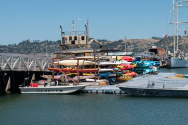 SAUSALITO, CALIFORNIA, ABD - 12 Ağustos 2023: Sausalito, Kaliforniya, ABD 'de güneşli bir günde körfeze yanaşan kano ve botlar