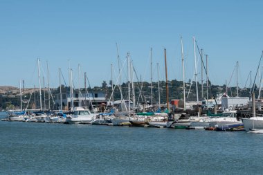 SAUSALITO, CALIFORNIA, ABD... 12 AĞUSTOS 2023: Sausalito, Kaliforniya 'da güzel güneşli bir günde körfeze yanaşan tekne ve yatlar