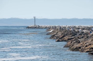 Yarım Ay BAY, CALIFORNIA, ABD - 13 AĞUSTOS 2023 Öğleden sonra Half Moon Körfezi Pasifik Plajı