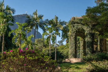 RIO DE JANEIRO, BRAZIL- 3 AĞUSTOS 2024 Rio de Janeiro, Brezilya 'da canlı bir Botanik Bahçesi sahnesi, palmiye ağaçları, çiçek açan çalılar ve sarmaşık kaplı taş yapılar. İkonik İsa, Corcovado Dağı 'ndaki Kurtarıcı heykeli yükseliyor. 