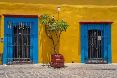 OAXACA, OAXACA, MEXICO - 4 Mayıs 2025: Oaxaca, Meksika 'da geleneksel bir evin mavi pencereli renkli sarı cepheli sokak manzarası