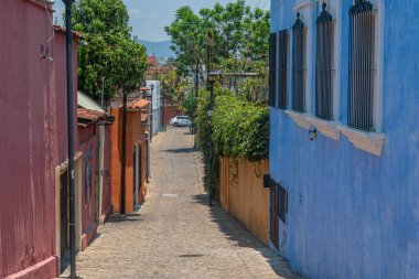 OAXACA, OAXACA, MEXICO - 4 Mayıs 2025: Oaxaca, Meksika 'da güneşli bir günde renkli geleneksel evlerle sokak manzarası