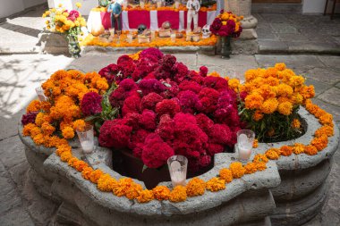 OAXACA, OAXACA, MEXICO - 31 Ekim 2024: Oaxaca, Meksika 'da geleneksel Ölüler Günü sunağı