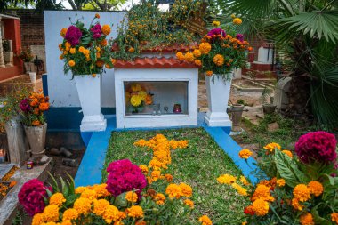 OAXACA, OAXACA, MEXICO-NOVEMBER 1, 2024: Oaxaca, Meksika 'daki bir mezarlıkta Ölüler Günü kutlamaları için renkli kadife çiçekleriyle süslenmiş mezarlar