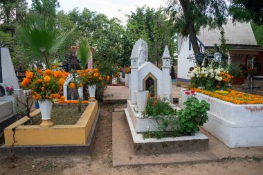 OAXACA, OAXACA, MEXICO-NOVEMBER 1, 2024: Oaxaca, Meksika 'daki bir mezarlıkta Ölüler Günü kutlamaları için renkli kadife çiçekleriyle süslenmiş mezarlar