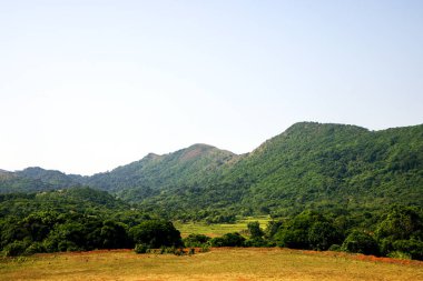 Mavi gökyüzü ve ağaçla kaplı dağ manzarası