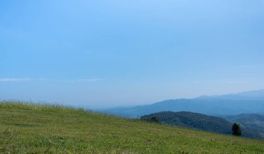 Mavi gökyüzü olan güzel bir çim tarlası. Kırsal manzara görünümü arka planı.