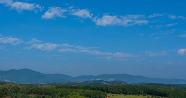 Mavi gökyüzüne karşı yeşil ağaçlar ve açık bir günde gökyüzünde süzülen beyaz bulutlar.