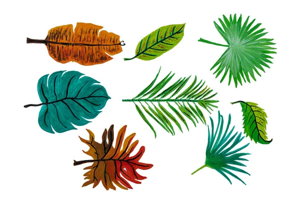 Набор Акварели Тропические Листья Цветочные Изолированы Белом Фоне Обрезкой Пути — стоковое фото