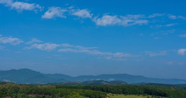 Mavi gökyüzüne karşı yeşil ağaçlar ve açık bir günde gökyüzünde süzülen beyaz bulutlar.