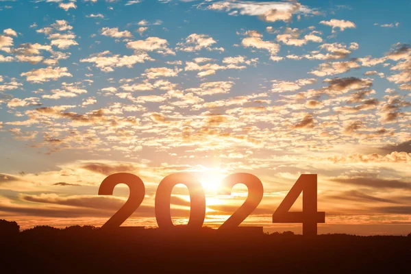 日没または日の出の背景でハッピーな新年2024にジャンプする女性のシルエット ストックフォト