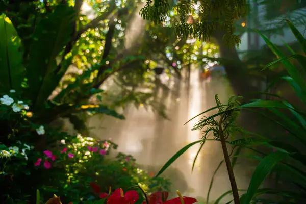 Close-up of lush green tropical vegetation jungle in sunshine. Tropical nature background.