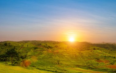 Yeşil çimlerin manzarası Nive Hills ve dağ günbatımında gökyüzü arkaplanı.