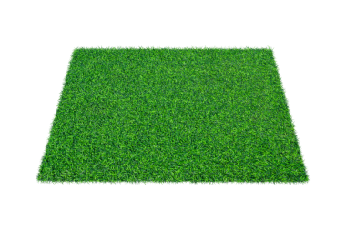 Yapay yeşil halı çimeni izole edildi