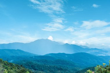 Dağ ormanının mavi gökyüzü arka planına sahip doğal manzarası. Doğa yağmur ormanı manzarası.