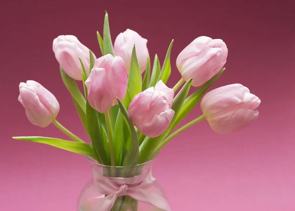 Tulipanes Rosa Claro Floreciente Tarjeta Floral Brillante Del Ramo Primavera — Foto de Stock