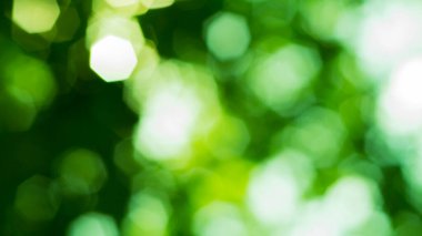 Soyut doğa arkaplanı, kamera tarafından bulanık