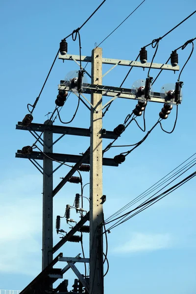 electric line and electric pole