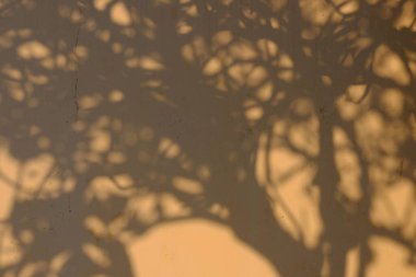 Ağaçlar ve yapraklarla soyut arkaplan