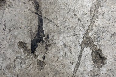 Doğal desenli pürüzlü kaya dokusu