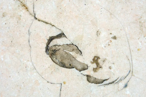 Natürliche Gesteinsstruktur Hintergrund Aus Stein Rissige Oberfläche — Stockfoto
