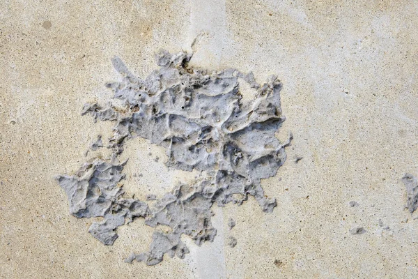 Kum Taş Deniz Kabuğu Dokusu — Stok fotoğraf