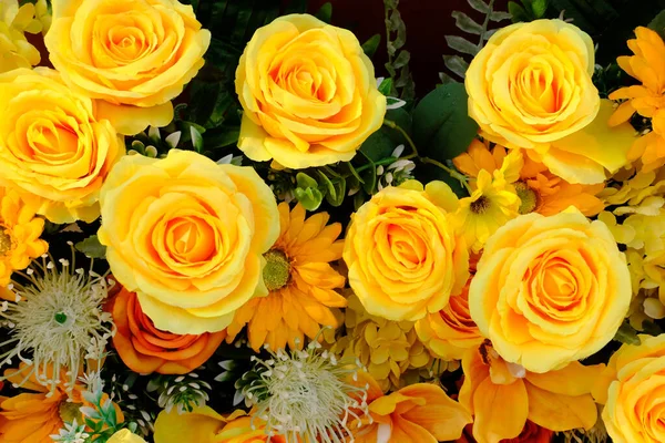 Sacco Vari Crisantemi Colorati Uno Sfondo Giallo Immagini Stock Royalty Free