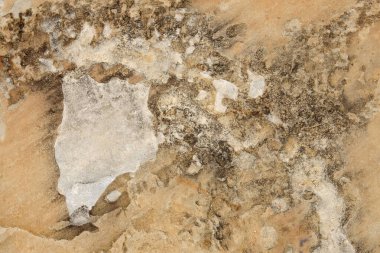 Eski grunge taş duvar dokusu