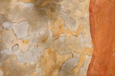 Taş duvar dokusu arkaplanı