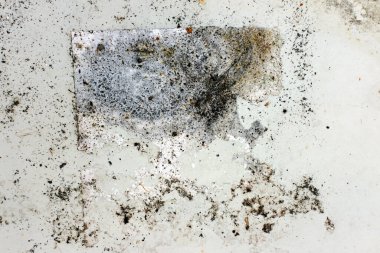 Beton zemin boyalı. doku