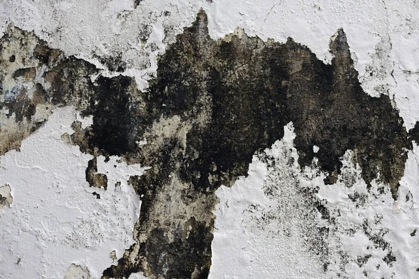 Grunge Ściana Tekstur Tło — Zdjęcie stockowe
