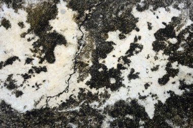 çatlaklı bir duvarın dokusu. 