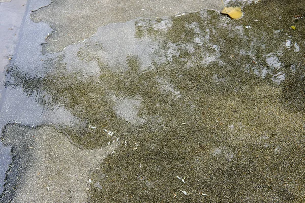 コンクリートの表面に水滴が — ストック写真