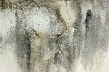 Doğal desenli soyut arkaplan 